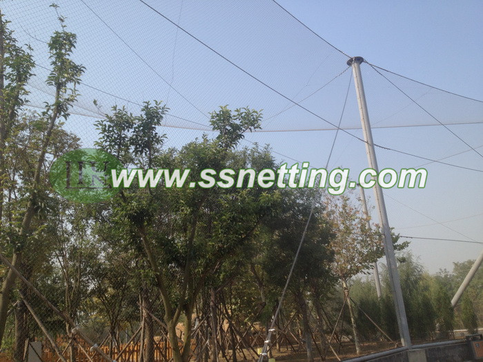 Aviary Wire Netting - Image 5