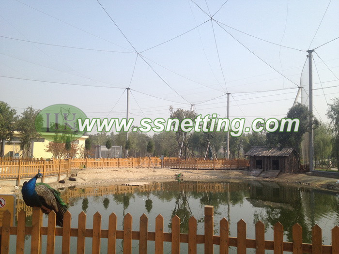 Aviary Wire Netting - Image 6