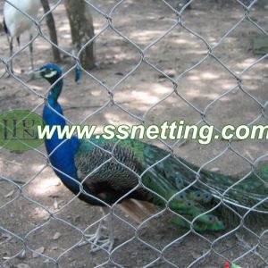 Crane Fence Netting