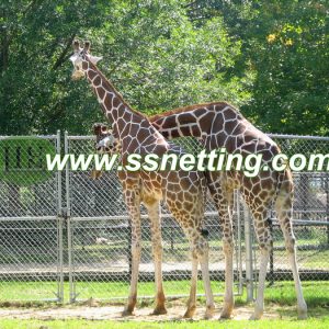 Deer Fence Netting