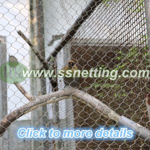 Bird Cage Netting