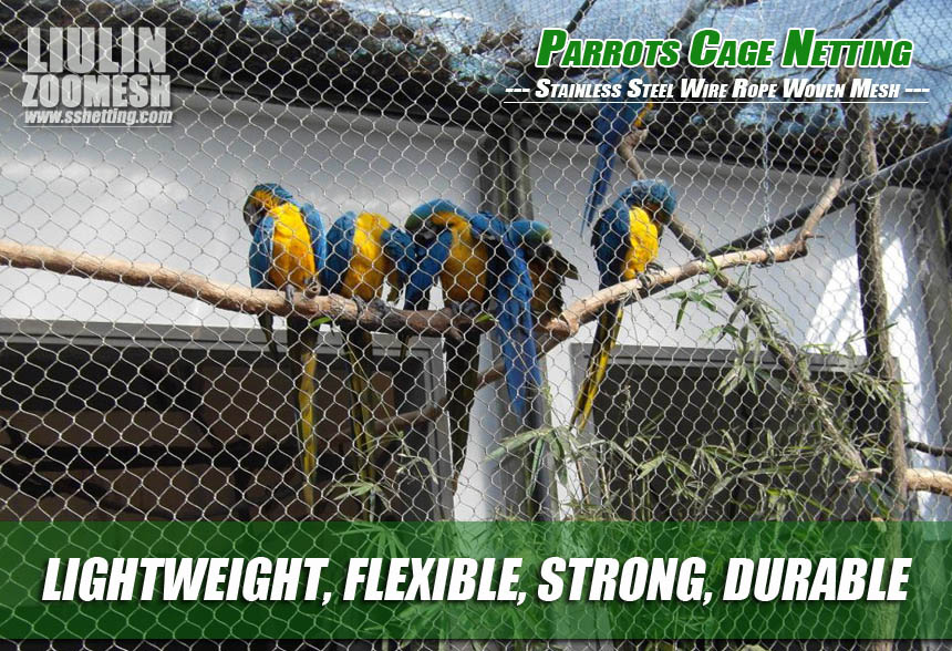 zoo aviary mesh for parrots