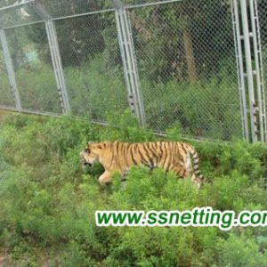 Tiger Enclosure Mesh