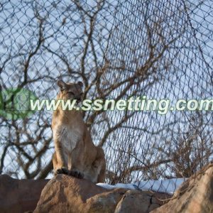 Lion Enclosure Fence Netting