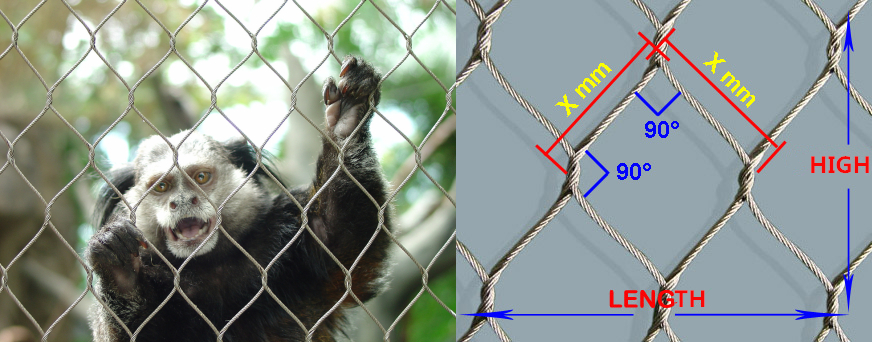 Best Zoo Mesh (Stainless Steel Cable Mesh) – Top Choice for Modern Animal Enclosures