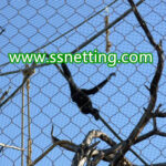 Monkey Enclosure Stainless Steel Rope Mesh, Custom Size Zoo Primate Enclosure Netting