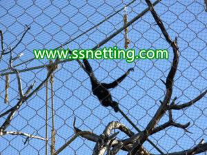 Monkey Enclosure Stainless Steel Rope Mesh, Custom Size Zoo Primate Enclosure Netting
